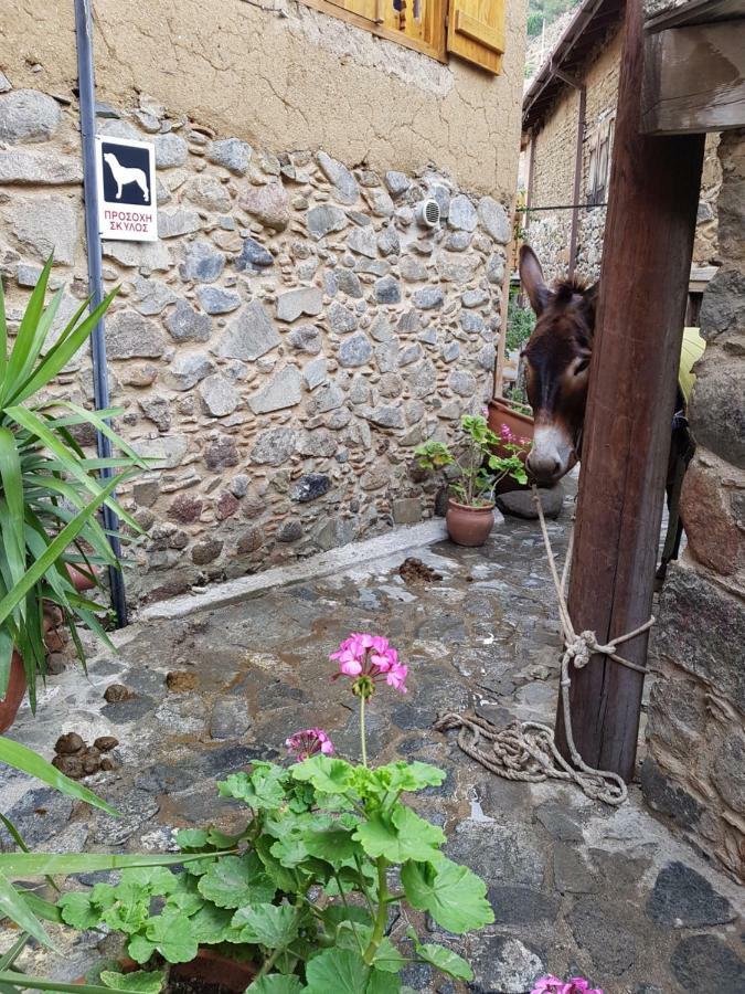 Irene'S House Villa Kakopetria Exterior photo